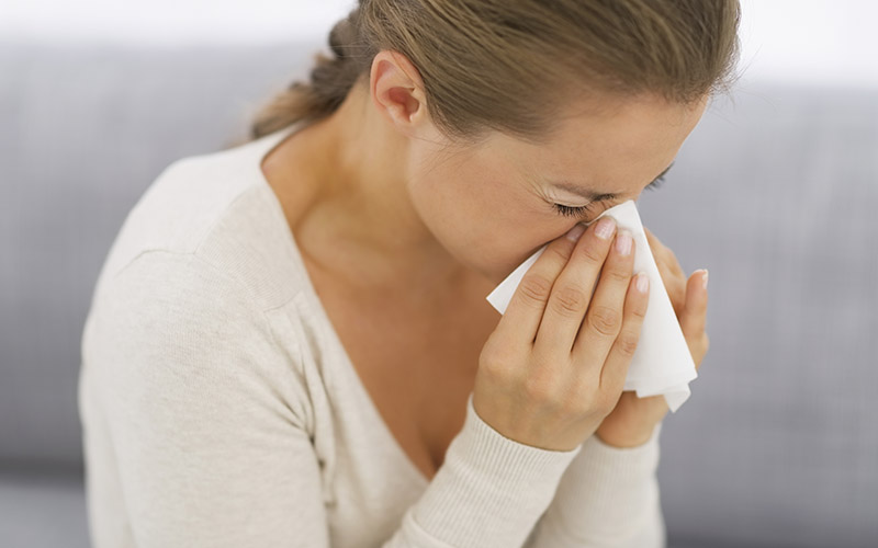 Can Pets Worsen Indoor Air Quality in Vero Beach, FL?